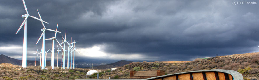eco tenerife